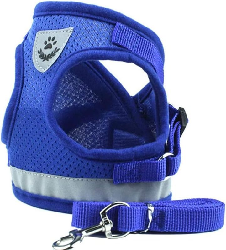 Pet Harness and Leash Set